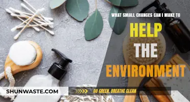 Simple Eco-Friendly Habits: Small Changes, Big Impact on Our Planet
