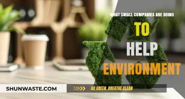 Small Businesses Leading the Way: Eco-Friendly Innovations for a Greener Future