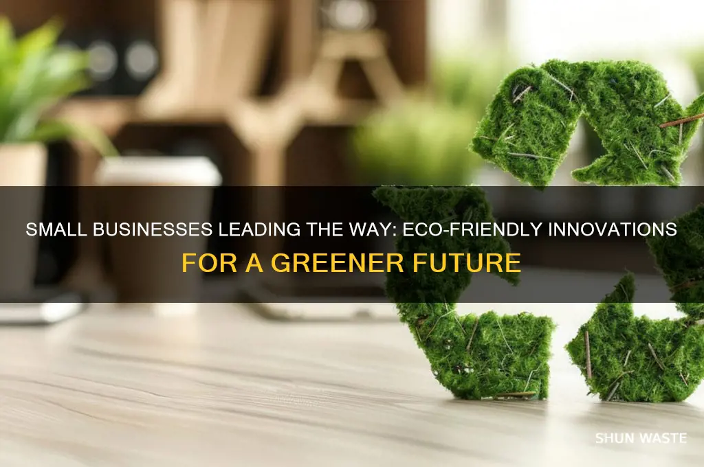 what small companies are doing to help environment