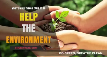 Simple Eco-Friendly Habits: Small Steps for a Greener Planet