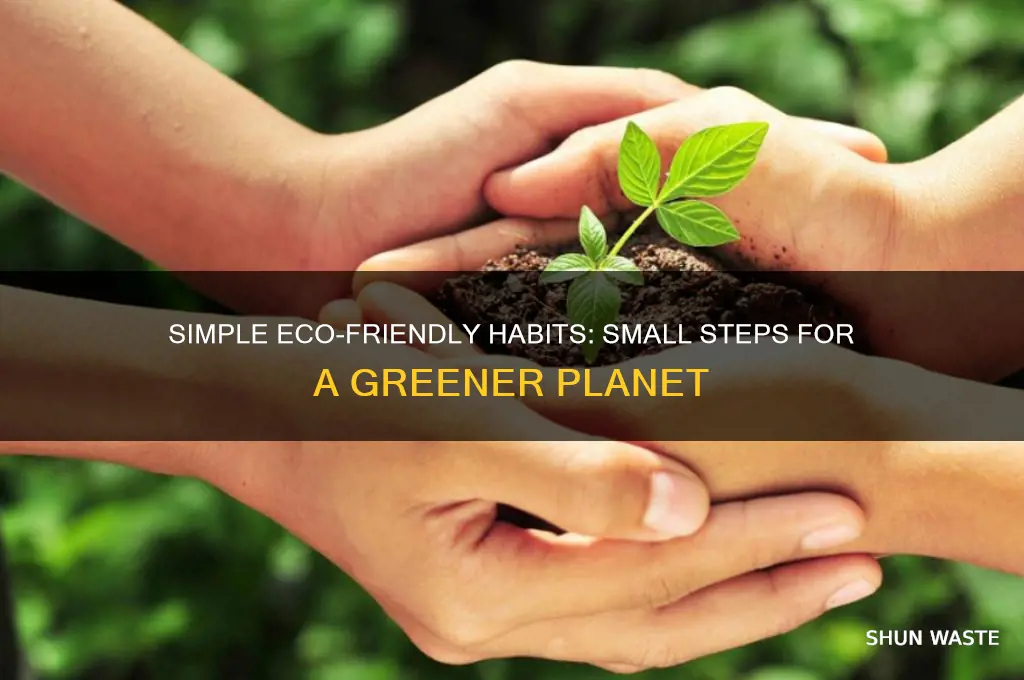 what small things can i do to help the environment
