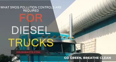 Smog Pollution Controls: Diesel Trucks' Necessary Measures