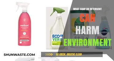 Eco-Friendly Cleaning: Which Soaps and Detergents Harm Our Environment?