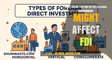 Social Dynamics Shaping FDI: Key External Factors and Their Impact