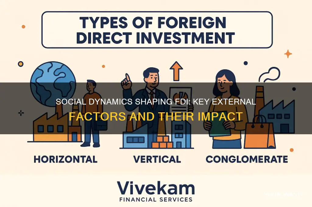 what social factors in the external environment might affect fdi