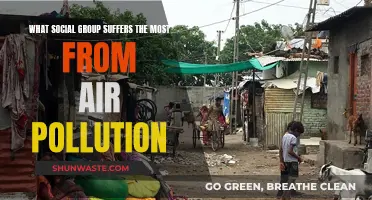 Air Pollution: Who Suffers the Most?