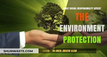 Corporate Social Responsibility: Driving Environmental Protection and Sustainability