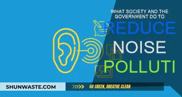 Society's Strategies to Combat Noise Pollution