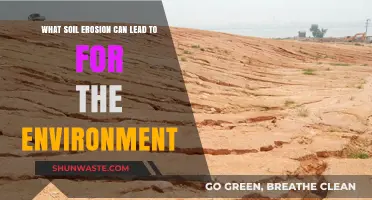 Soil Erosion's Devastating Impact: Environmental Consequences and Long-Term Effects