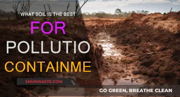 Soil Types: Pollution Containment and Absorption