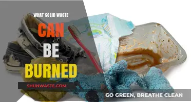 Eco-Friendly Disposal: Understanding Combustible Solid Waste