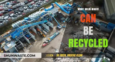 Unlocking Sustainability: A Guide to Recyclable Solid Waste