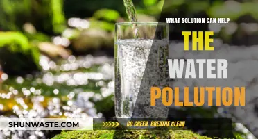 Innovative Solutions to Combat Water Pollution: A Comprehensive Guide