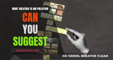 Air Pollution Solutions: Breathing Cleaner Air