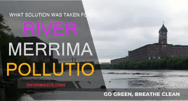 Merrimack River Pollution: The Solution and Results