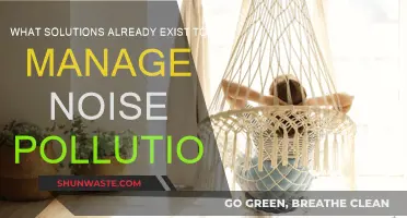 Solutions to Combat Noise Pollution
