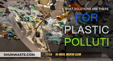 Solving Plastic Pollution: Strategies for a Sustainable Future
