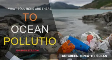 Ocean Pollution: Solutions for a Cleaner Future