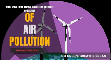 Breathing Cleaner Air: Top Solutions to Reduce Air Pollution