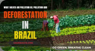 Solutions to Brazil's Air, Oil, and Tree Crises