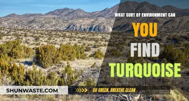 Exploring Turquoise: Natural Habitats and Unique Environments for This Gemstone