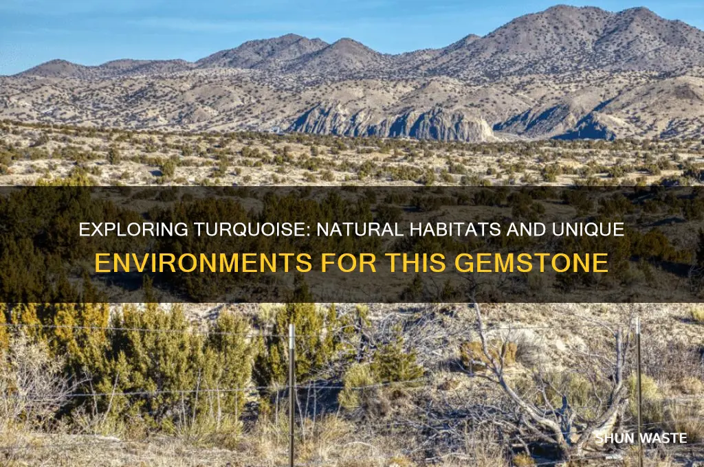 what sort of environment can you find turquoise