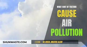 Air Pollution: Understanding the Causes and Factors