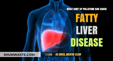 Unveiling the Hidden Pollutants: How Environmental Toxins Fuel Fatty Liver Disease