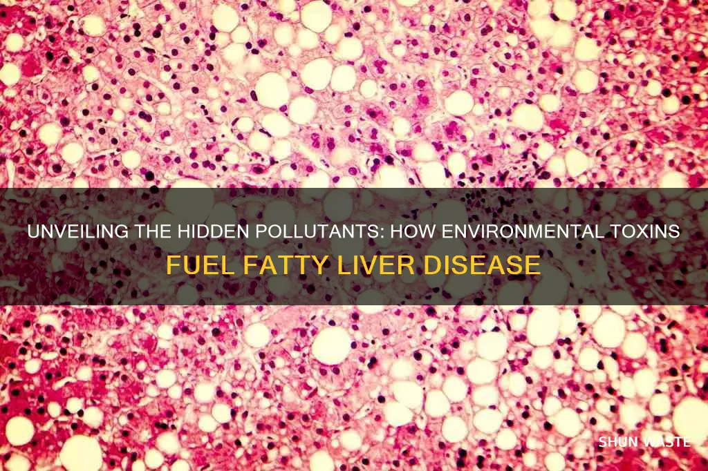 what sort of pollution can cause fatty liver disease