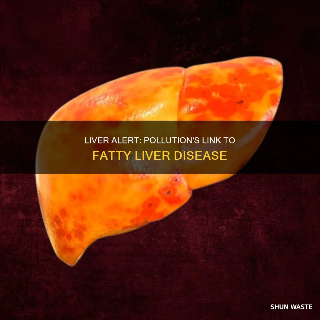 what sort of pollution can cause fatty liver disease