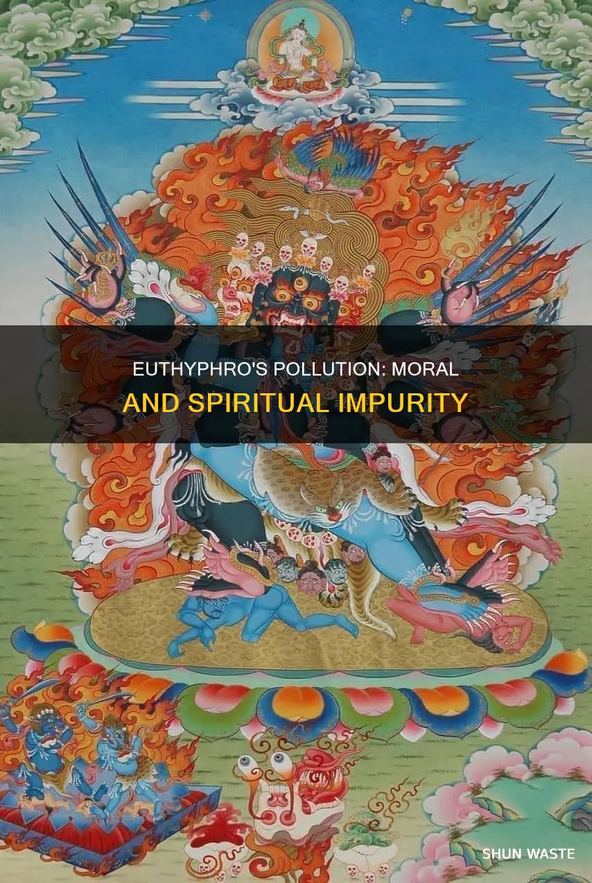 what sort of pollution is euthyphro concerned about