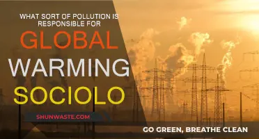 Societal Pollution: Warming Our World