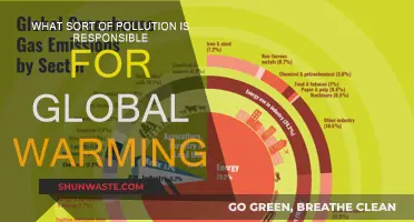 Climate Change: Pollution's Role in Global Warming