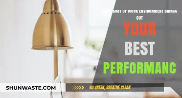 Crafting the Ideal Work Environment to Unlock Peak Performance