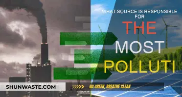 The Main Culprit of Pollution: A Global Crisis