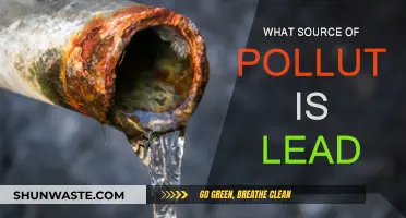 Lead Pollutants: Sources and Their Harmful Effects
