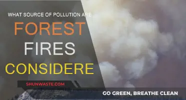 Forest Fires: A Natural Disaster or Human-Made Pollution?