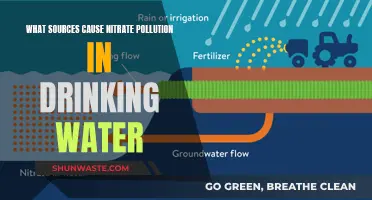 Unveiling the Hidden Sources: Nitrate Pollution in Drinking Water