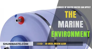 Heated Water Sources Threatening Marine Ecosystems: Causes and Impacts