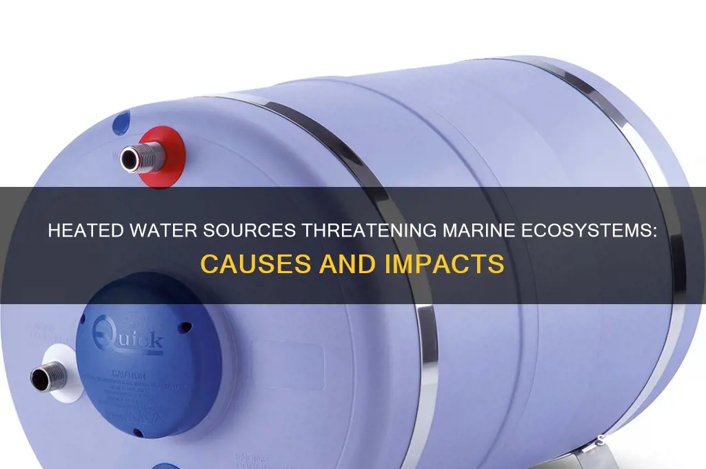 what sources of heated water can affect the marine environment