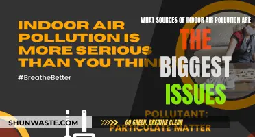 Air Quality Alert: Indoor Pollution Sources to Watch Out For