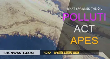 Understanding the Oil Pollution Act's Origins