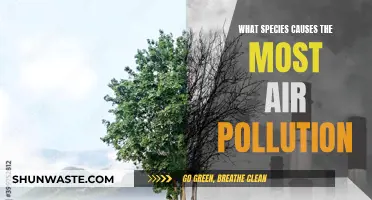 Unveiling the Top Polluters: Who's Causing the Most Air Pollution?