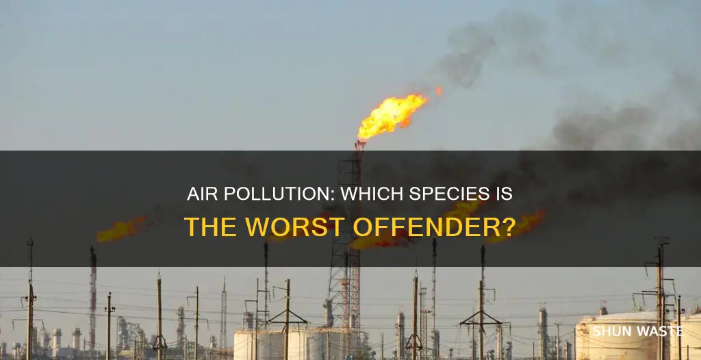 what species causes the most air pollution