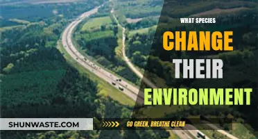 How Species Transform Their Habitats: Environmental Impact Explained