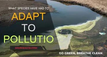 Adapting to Pollution: Species Survival Strategies