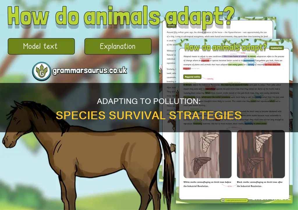 what species have had to adapt to pollution