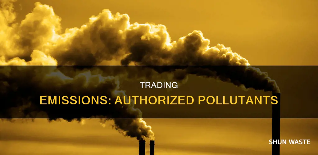 what specific type of pollutants was emissions trading authorized for
