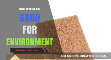 Eco-Friendly Sponges: Sustainable Choices for a Greener, Healthier Environment
