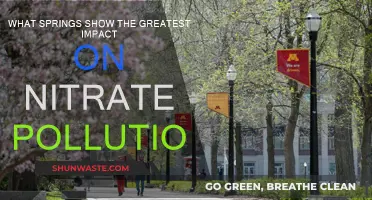 Springs' Impact on Nitrate Pollution: A Comparative Study